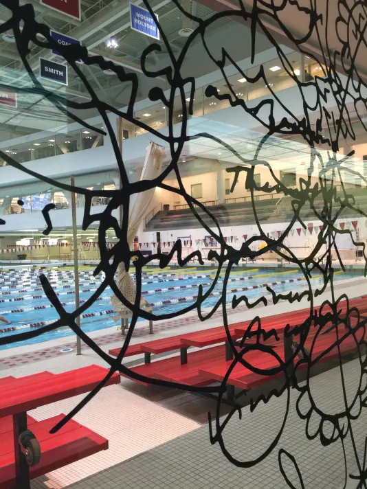 Detail of a mural by Mathew Ritchie along glass wall overlooking Zesiger Center’s Olympic swimming pool