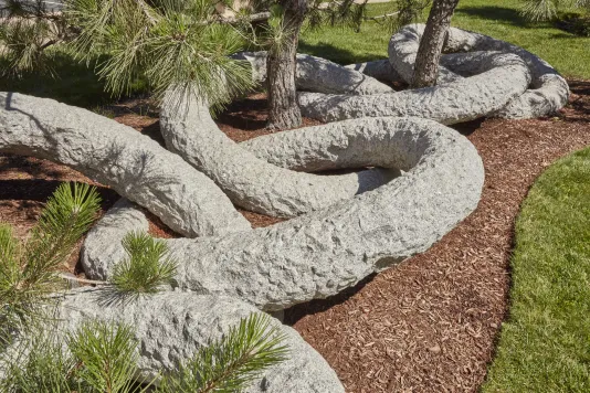 Large granite rings around the base of pine trees in a much bed with a little bit of grass peaking through on the right edge. 