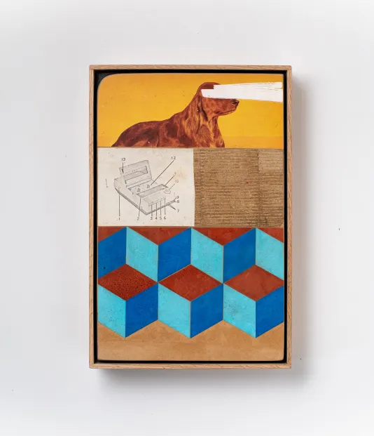 A collage of four images sectioned into four quadrants. The top section shows a brown dog with white bars to block out the eyes. The left middle panel is a black and white image of a cassette player with labels. The right middle panel is a piece of brown cardboard. The bottom section is a blue and brown geometric pattern that creates the shape of cubes.