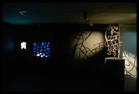 Installation view of 3 works, including a suspended glass and rubber tube sculpture that casts dramatic shadows on the wall.