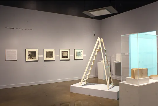 Framed artwork lines the wall behind an installation of an open white ladder and multiple glass vitrines