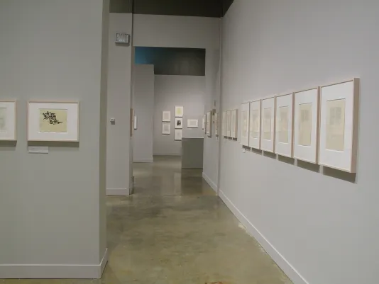 A collection of drawings framed along the walls of a divided gallery space