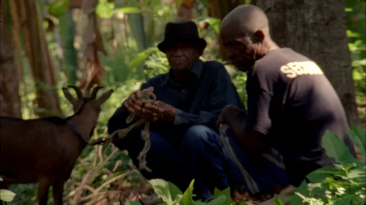 2 old men crouch together in a tropical forest, one man holds a goat on a knotted rope.