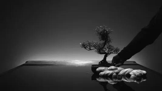 Hand adjusts a mini bonsai tree in a landscape created by rock shapes reflected on a glossy table top with back lighting.