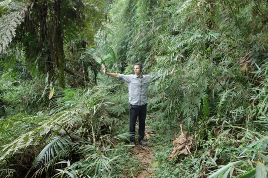 Surrounded by lush green palms, ferns and trees, a slender man wearing headphones stands with arms outstretched.