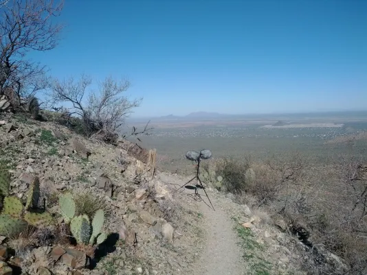 Gray windscreen-covered mics on a tripod stand on a dirt path flanked by cactus and brush atop a hill in a desert landscape