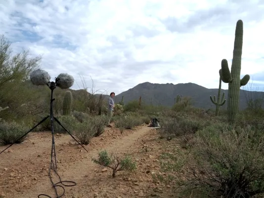 Blending in with cactus and brush, mics on stand sit in foreground, person in gray in landscape before distant mountains.