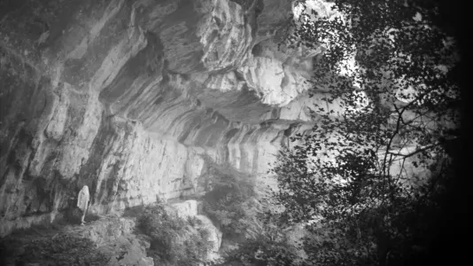 A person in white walks on a narrow ledge in a gray, white rock canyon, black silhouetted leaves frame the right edge