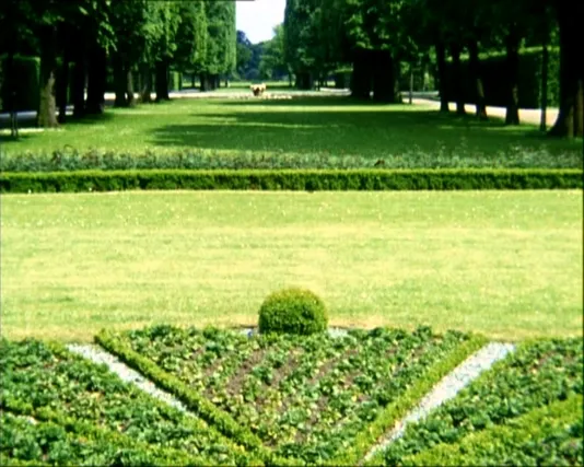 A formal green garden with low plants in the foreground, grass and 2 rows of trees in the background.
