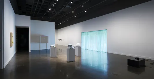 Installation view of An Inventory of Shimmers: Objects of Intimacy in Contemporary Art, MIT List Visual Arts Center, 2017