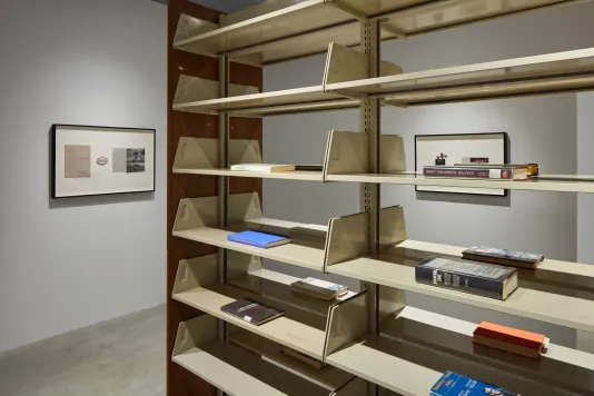 Installation view of a book shelf with beige shelves and books on their sides by Rose Salane.