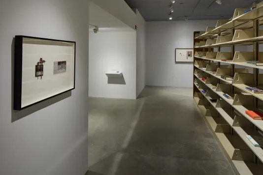 Installation view of a book shelf with beige shelves and framed works by Rose Salane.