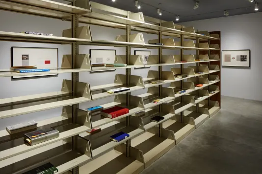 Installation view of a book shelf with beige shelves and books on their sides by Rose Salane.