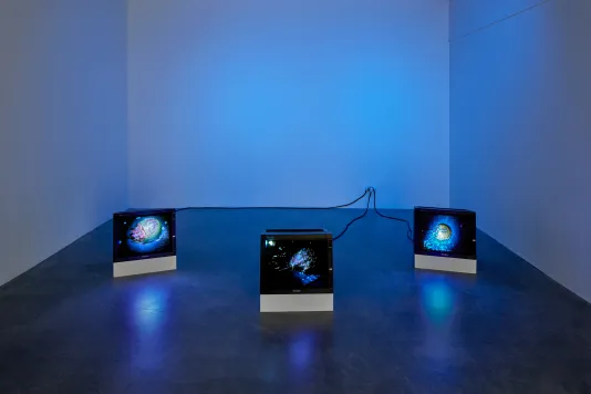 On the floor of the gallery bathed in blue light, three monitors each play digital videos of horseshoe crabs at night.