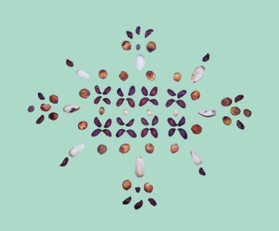 Teal background with brown and white gems arranged to look like a flower