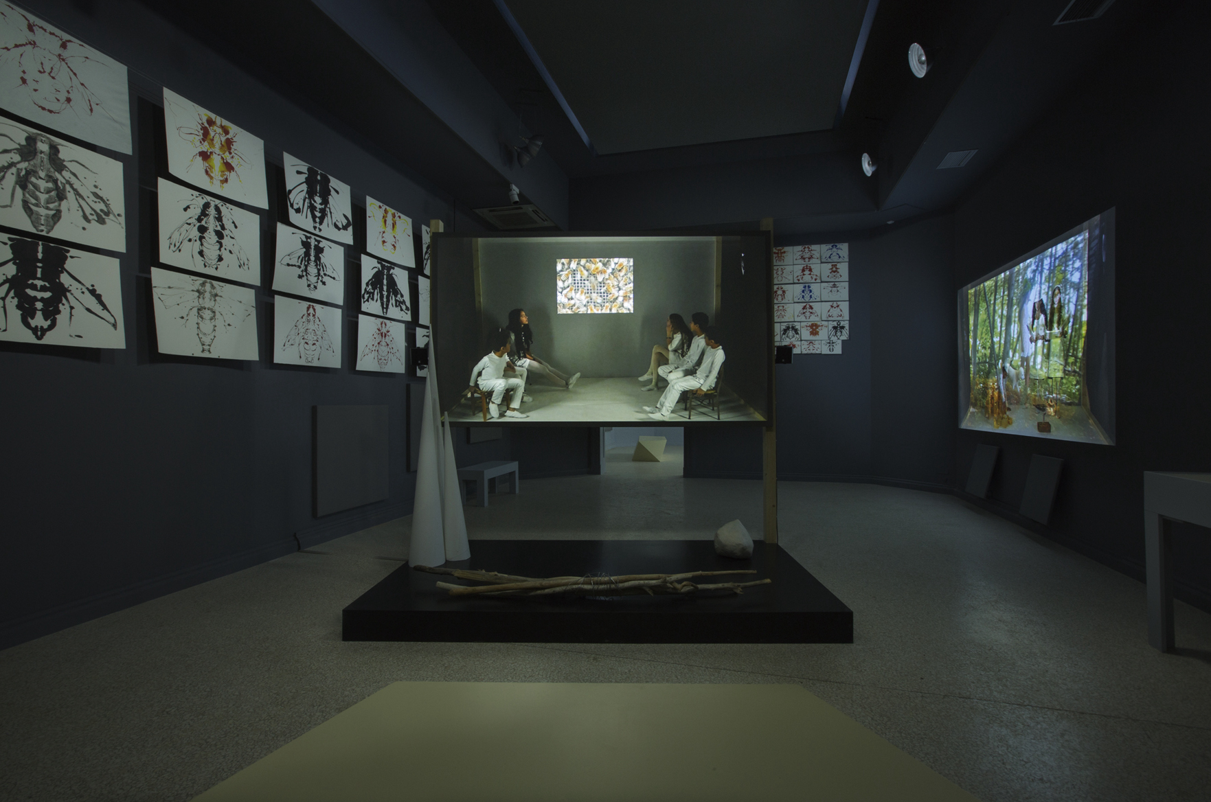 Dark gallery with a projector in the center, prints of bees on the wall to the left and another projector on the right wall.