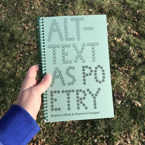 A hand holds out a book reading Alt-Text as Poetry with a light blue background on a grass field.