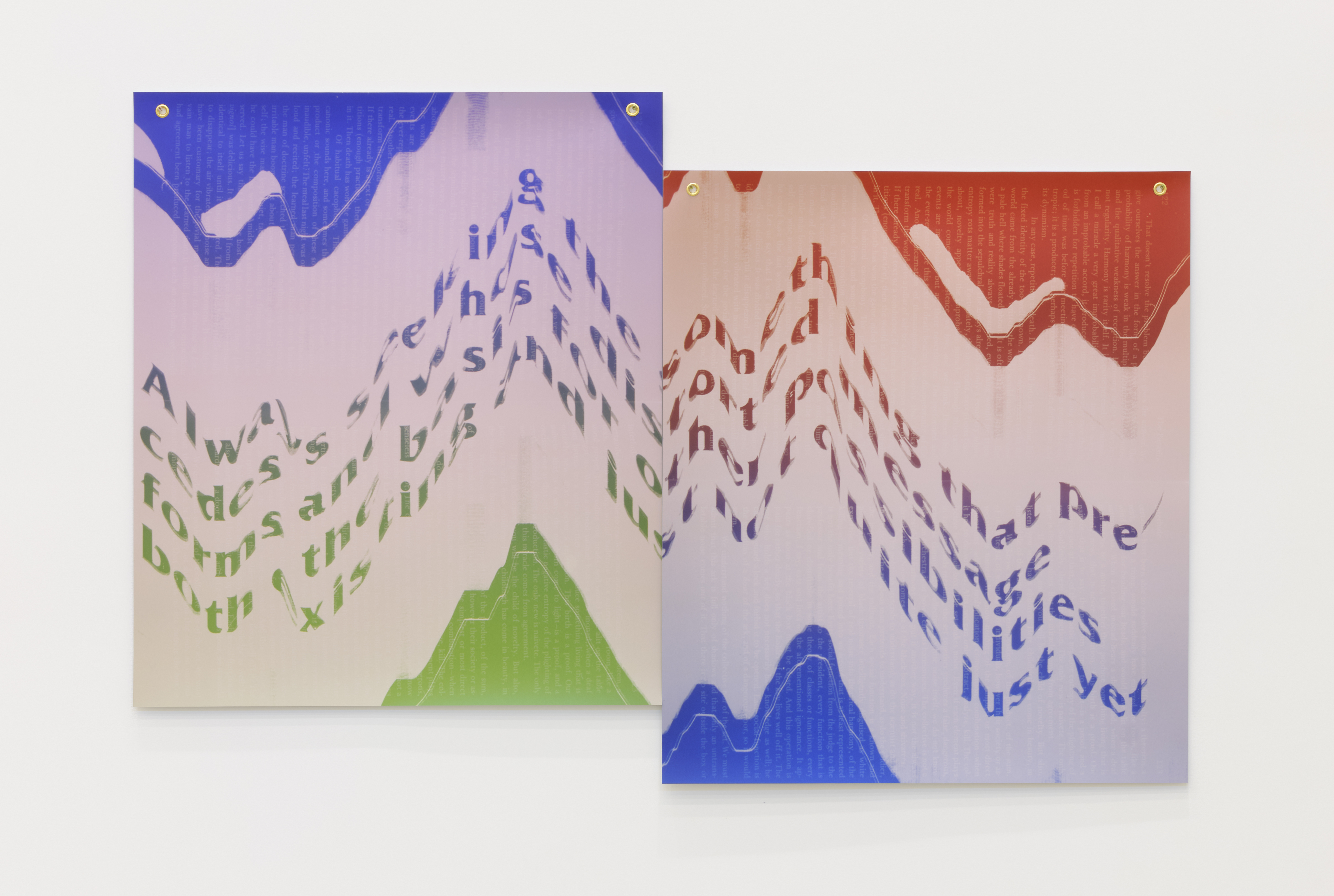 Two blue, red, and green print hung directly next to one another featuring wavy shapes on the top and bottom. Distorted text connects from one print to the next.