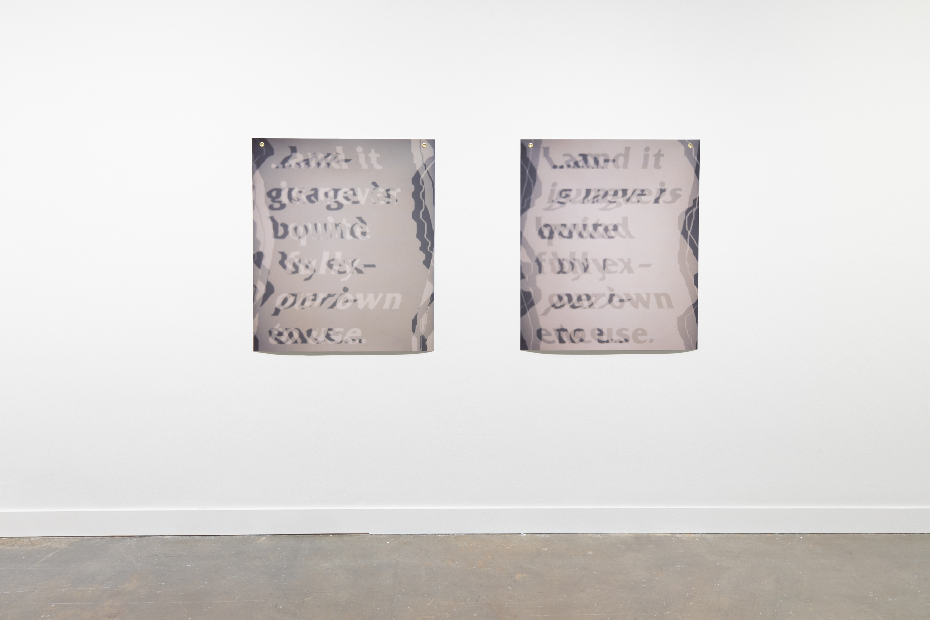 Installation view featuring two inkjet prints on vinyl hanging side by side with distorted overlapping text and wavy shapes on the edges.