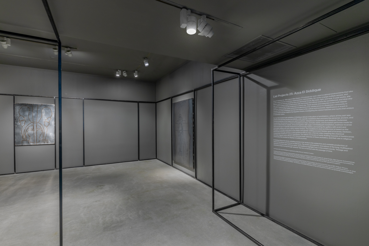 Gallery view with welded steel drawings on the far left wall and the right wall, gallery text on the far right, and a black steel architecture that snakes along the periphery of the space.
