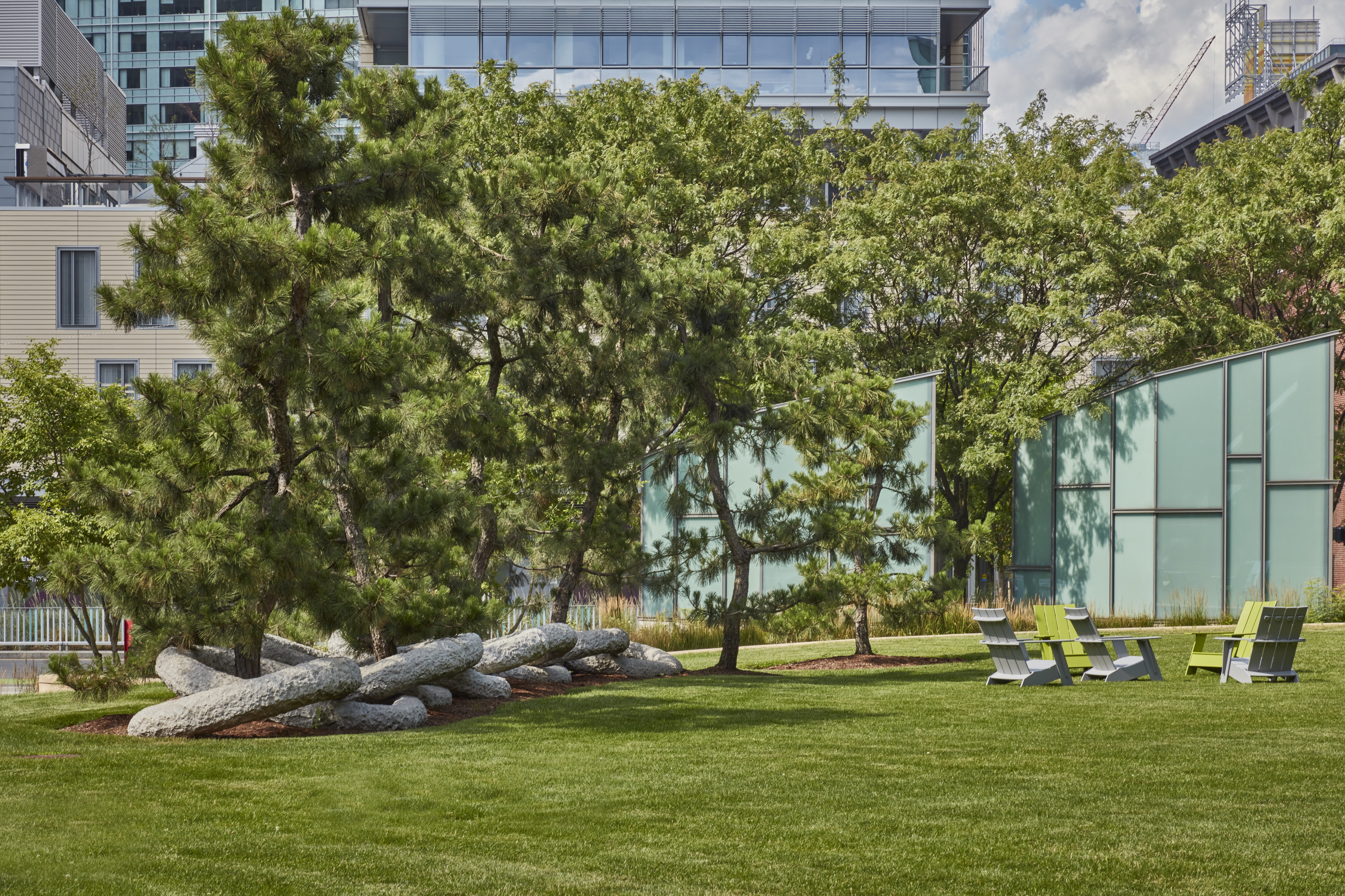 Area of grass with a stone edge featuring a group of pine trees with large granite rings linking at the base of the trees and the edge of a building on the right side.