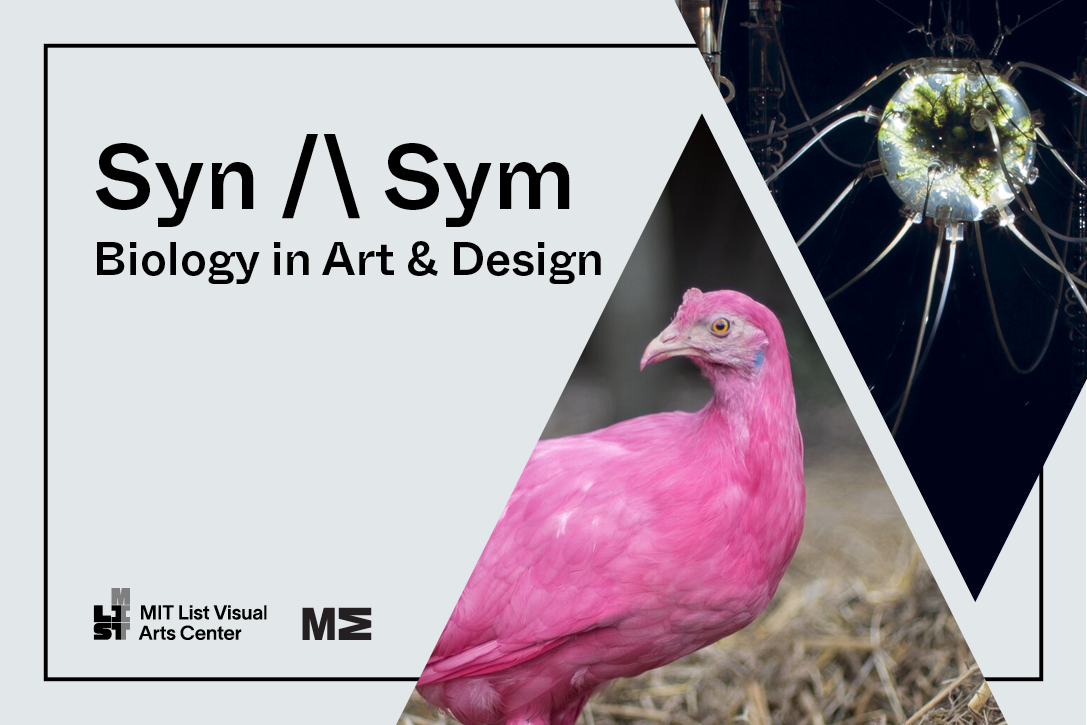 syn-sym-biology-in-art-design-mit-list-visual-arts-center