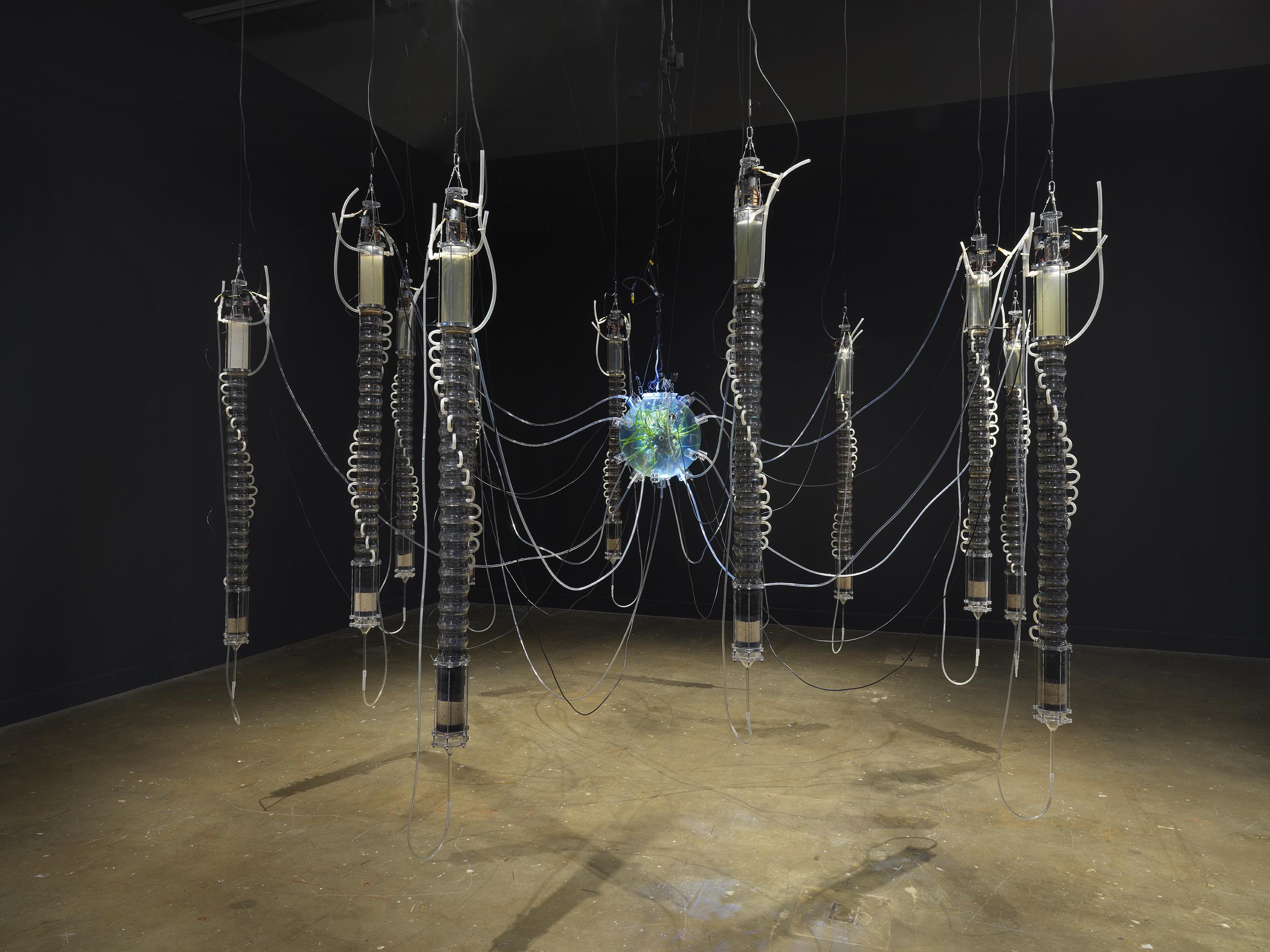 Symbionts: Contemporary Artists and the Biosphere