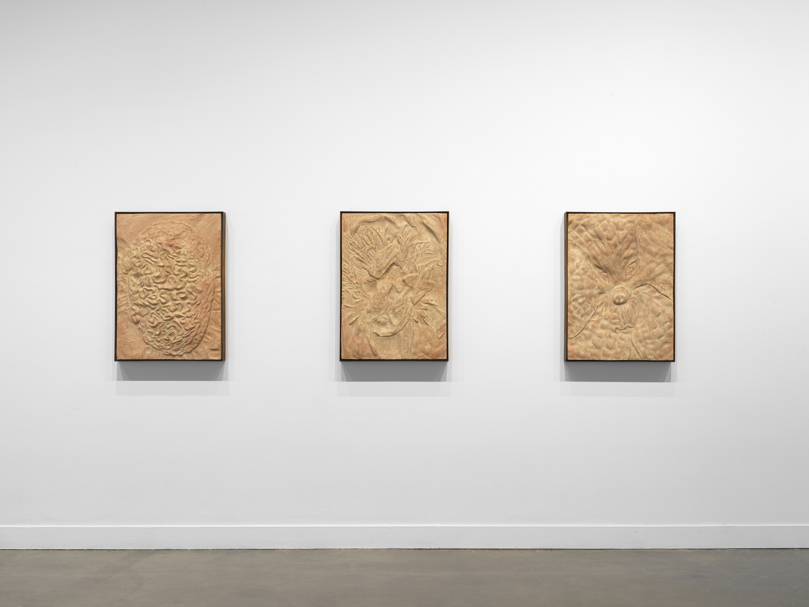 Three light pink and cream-colored relief sculptures hung in a row, each with a rough textures surface and encased by rectangular steel frame.