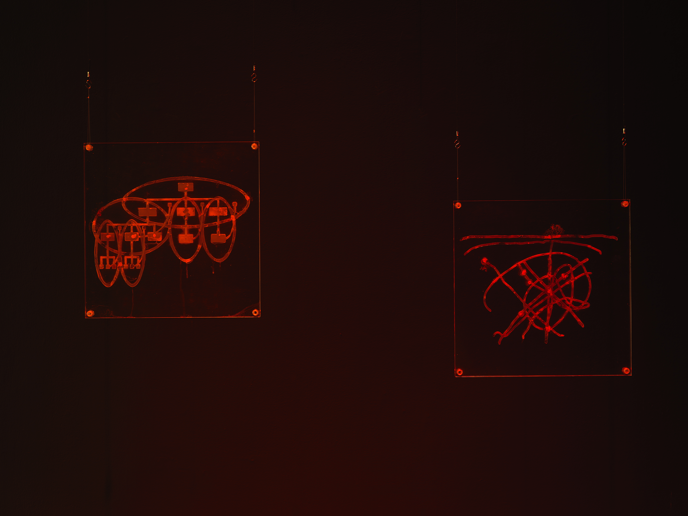 In dark room bathed in red light, two Plexiglas rectangles are suspended off-center by wire in top corners, each with CNC engraving of various overlapping ovals with diagrams.