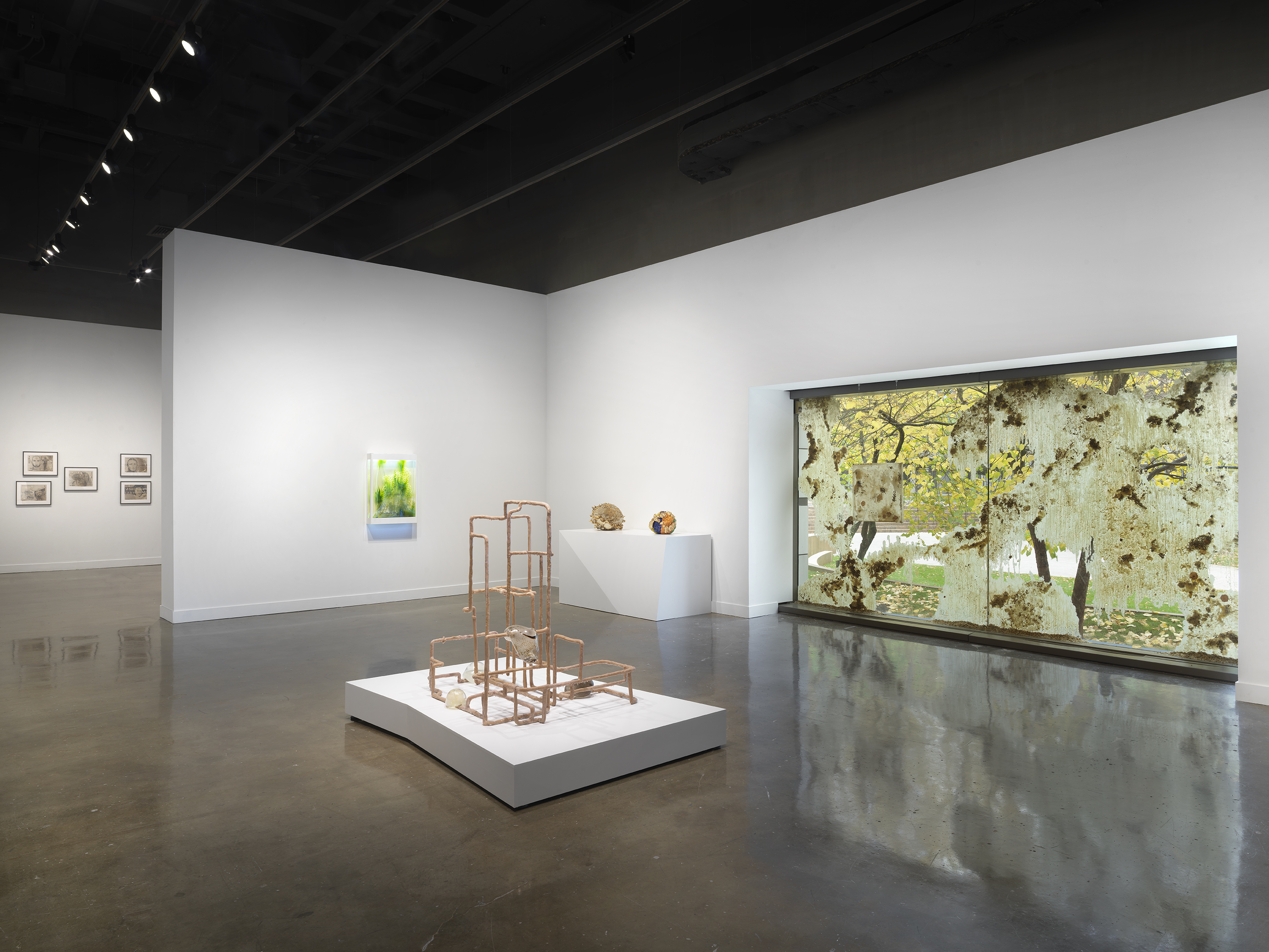 Symbionts: Contemporary Artists and the Biosphere