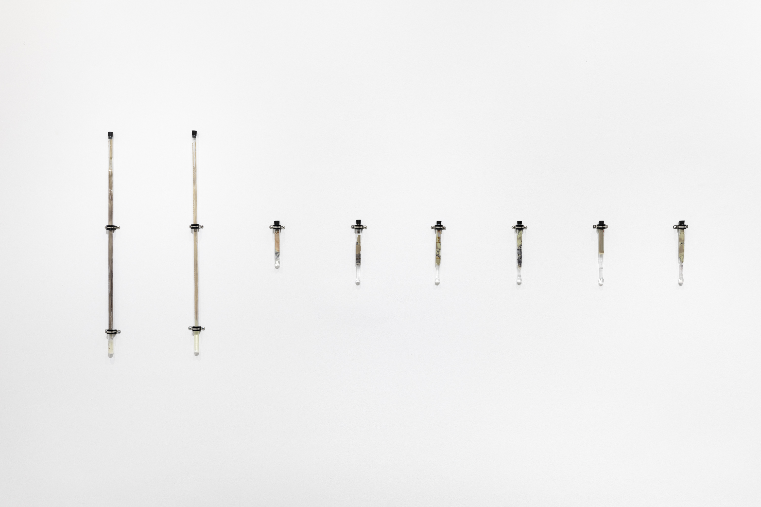 Eight borosilicate glass test tubes are mounted onto a white wall using silver metal brackets. The test tubes all have black stoppers in the top. Reclaimed silver from expired photographic film and paper with sodium hypochlorite can be seen in the test tubes.