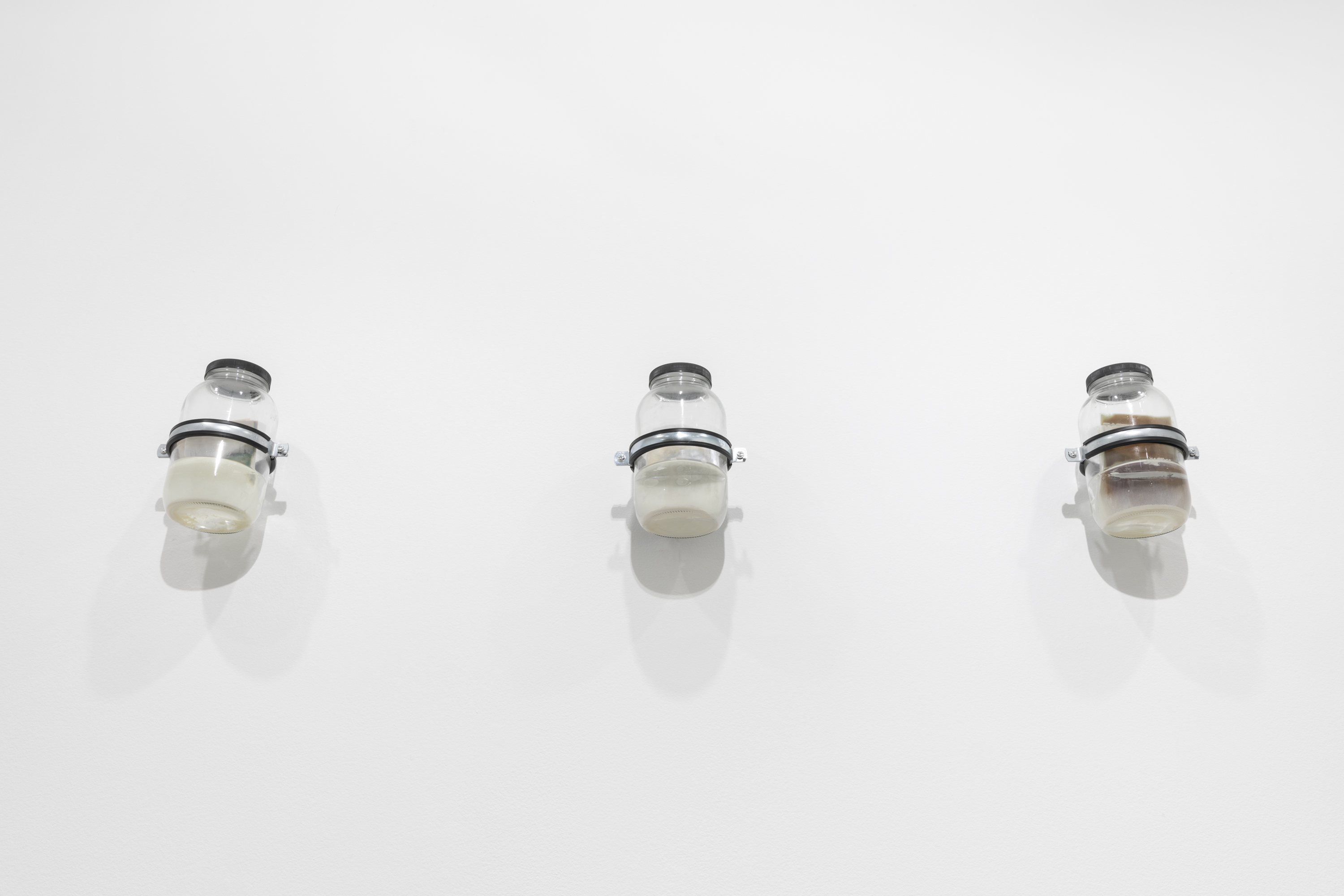 Three glass jars with plastic black lids are mounted onto a white wall. Reclaimed silver from expired photographic film and sodium hypochlorite can be seen inside the jars, viewed at an angle from below.