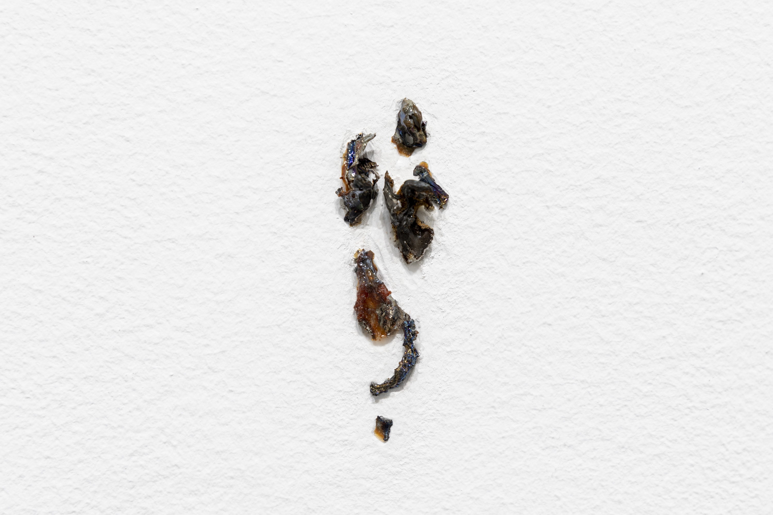 Byproduct of the reaction between reclaimed silver from expired photographic film and sodium hypochlorite embedded into a white wall.