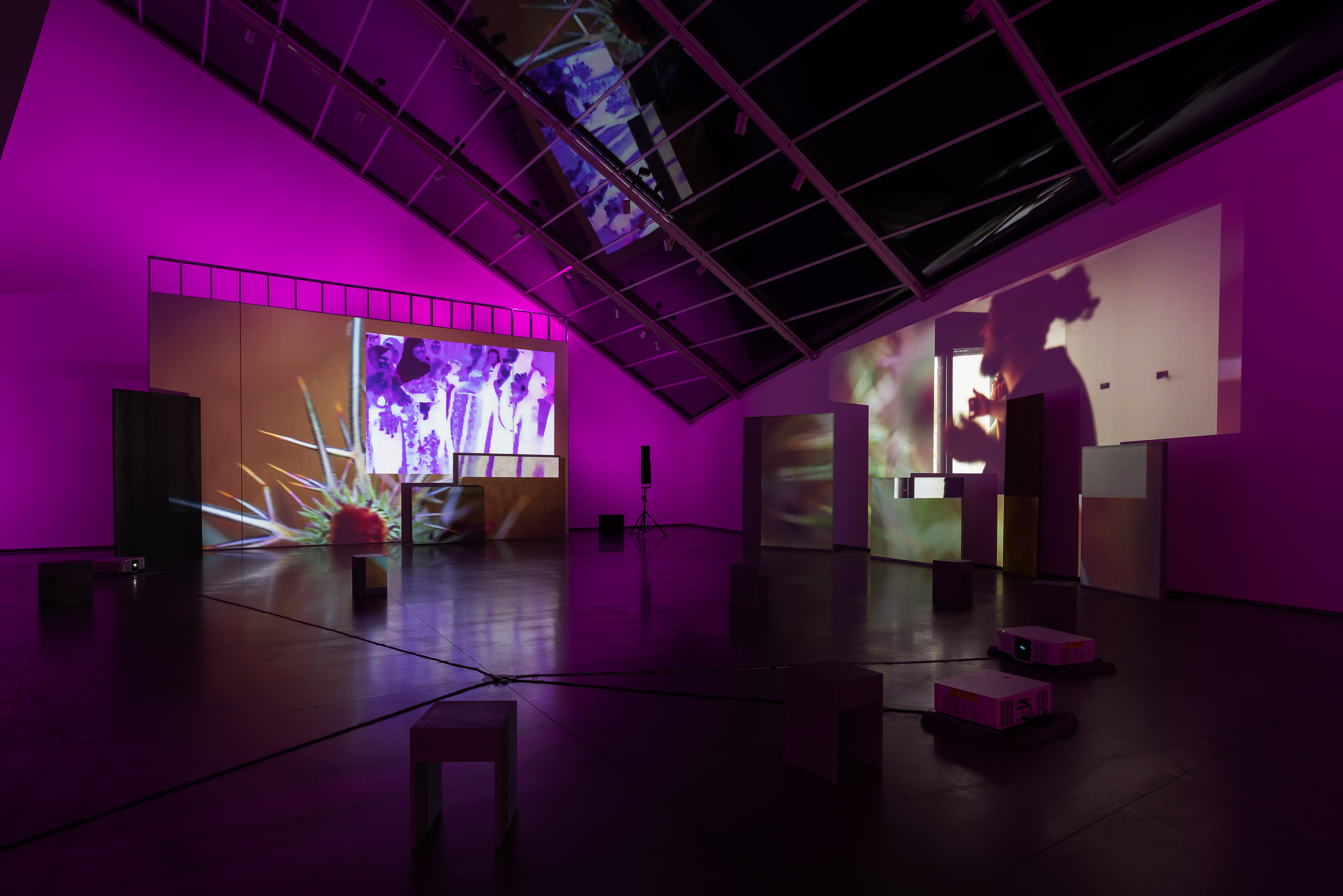 Two channels of video are projected onto the uneven surfaces of overlapping rectang ular panels . The video on the left shows the spiny leaves of a thistle; the one on the right shows a gesturing figure in motion. In the foreground, a few s hort stools and projectors sit on the floor.
