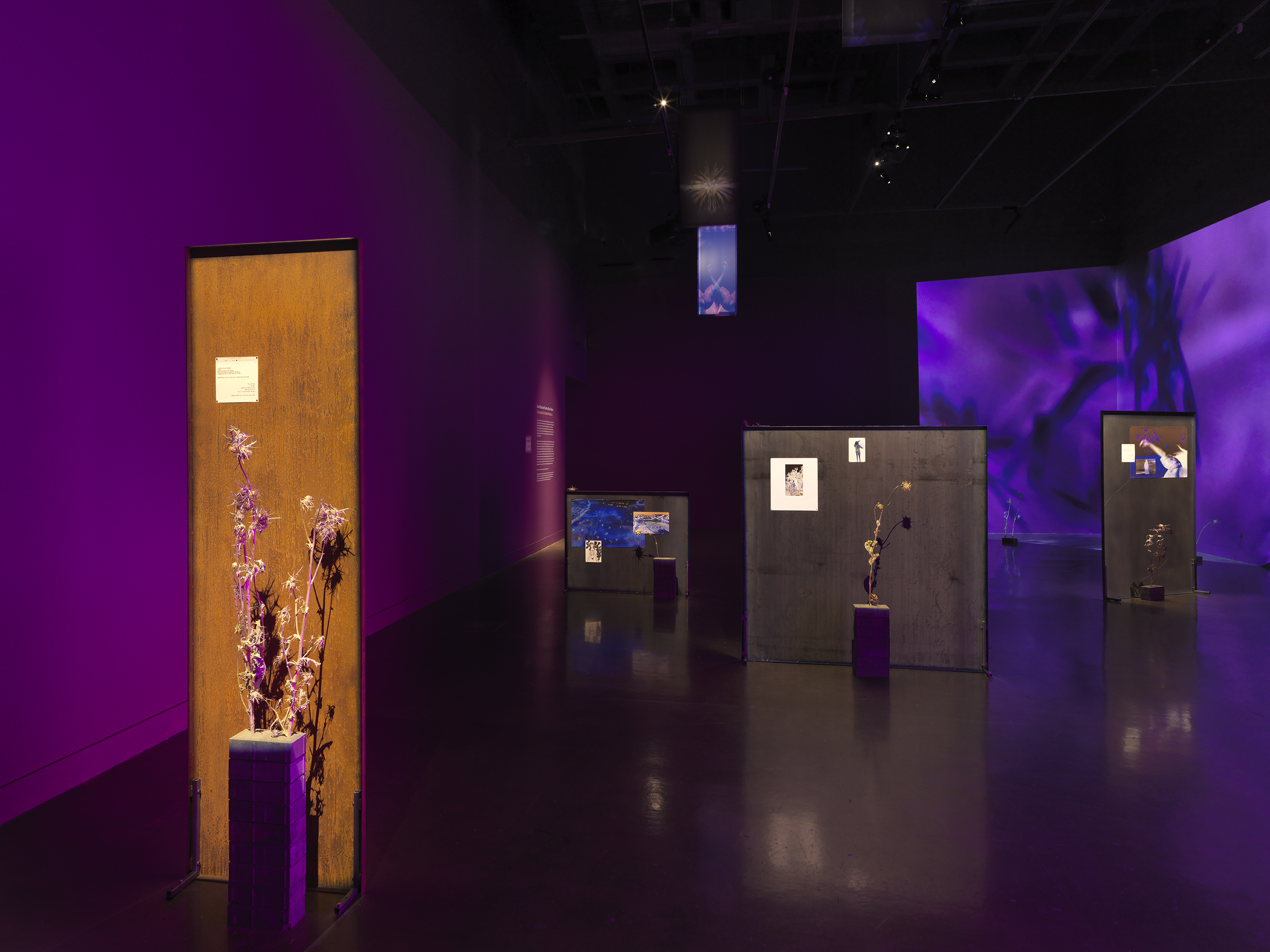 In the foreground to the left, a freestanding metal panel with a rusty brown surface has a small square of text mounted on it. In front of the panel, dried thistle plants sprout from the top of a stack of concrete bricks. More panels, thistle, and a purple video projection are visible in the background.