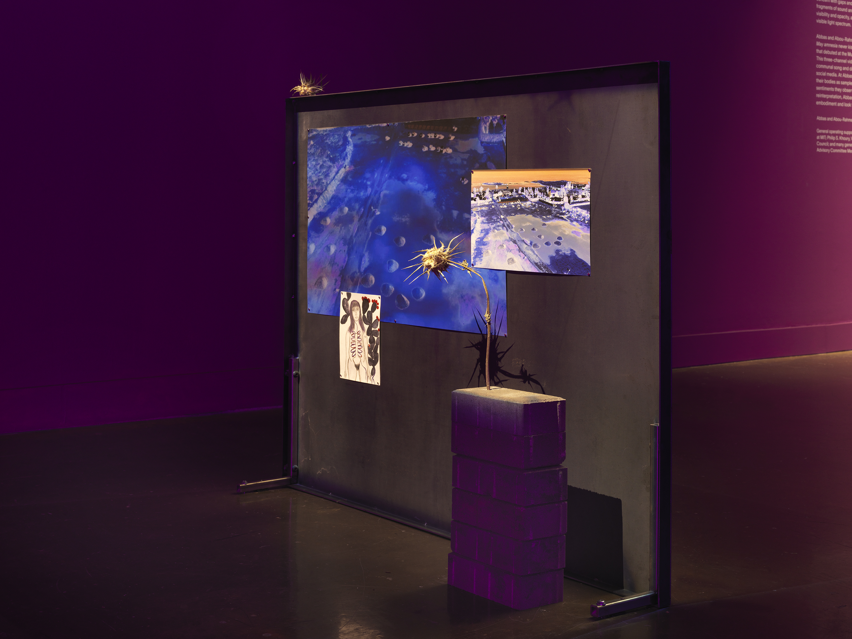 Vertical metal panel is spotlit and bolted to the floor. Affixed to the panel, a large abstract blue photo is overlaid with a smaller abstracted image, perhaps a landscape. Overlapping the lower edge of the blue image, a small drawing depicting a woman with marks across her torso and a black cactus behind her is affixed to the panel. In front of the panel, a stack of bricks with a thistle growing out of them is displayed. On the purple wall in the background, text in the upper right corner peeks into frame