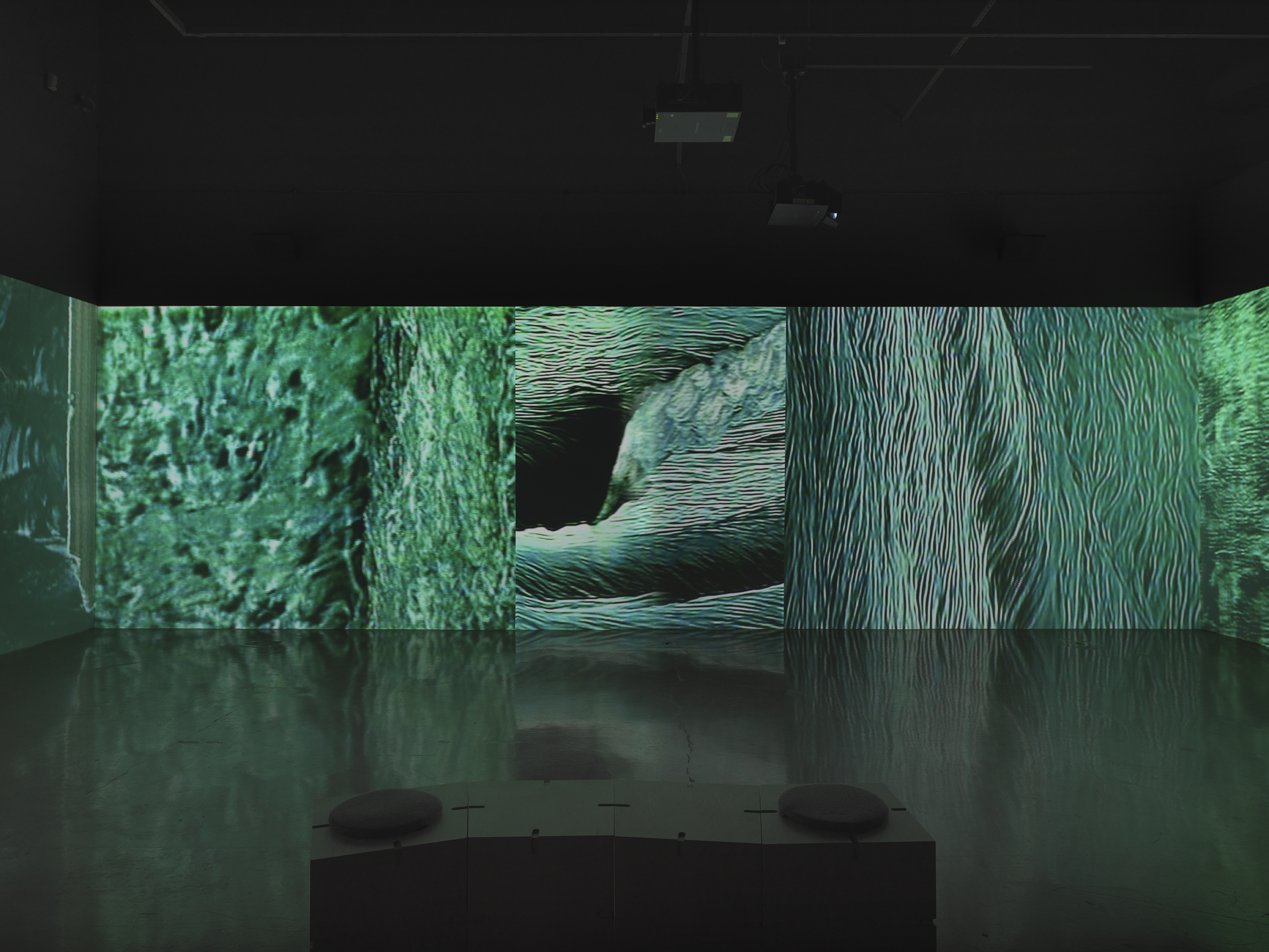 A continuous surface of projected video fills an entire wall, and on either side of the image, starts to wrap around the corners. The images are abstract textures and sinuous lines of blue-green and black, sometimes recalling the surface of a body of water. 