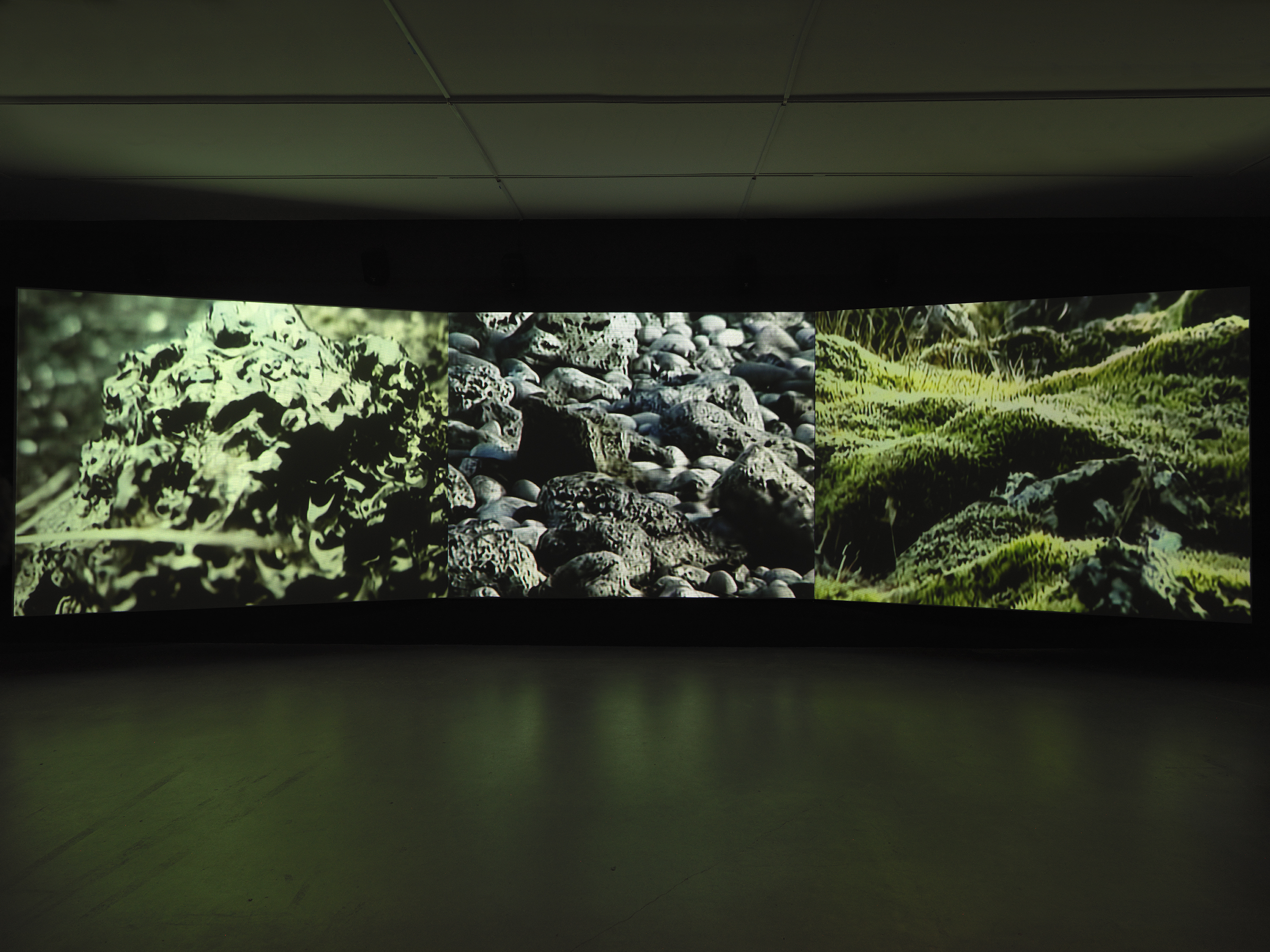 The wall of a dark gallery is illuminated by three video projections. Each shows  the close-up texture of a natural substance: the left shows ice; the middle shows dark  lava rocks; the right shows a lumpy surface of moss.