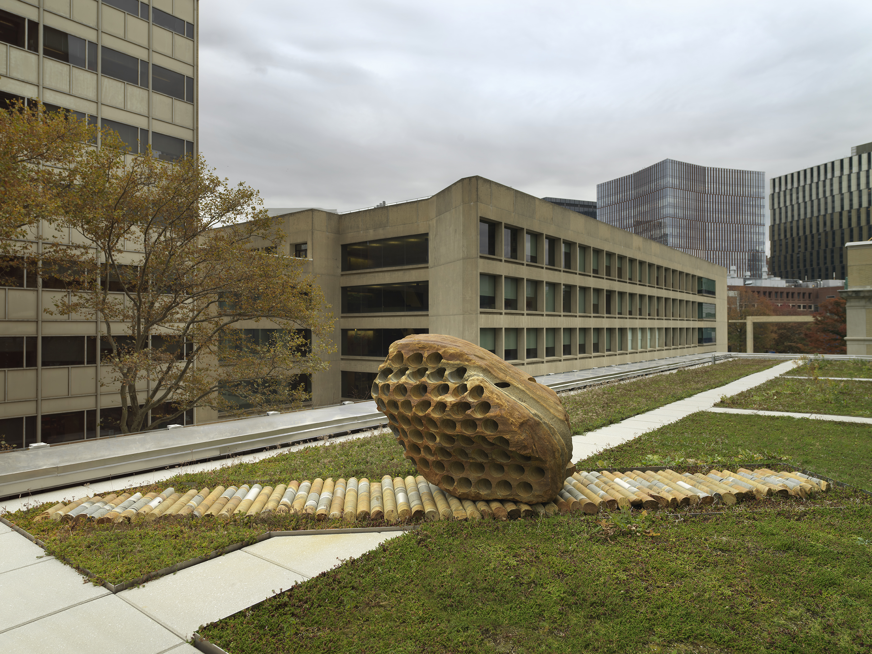 A large rock sculpture rests on a long strip of stone cylinders in a greenspace. The rock has a series of holes removed from its core, with the cylinders that were removed making up the strip it rests on. There is a pathway behind the sculpture and building tops surrounding the open space.