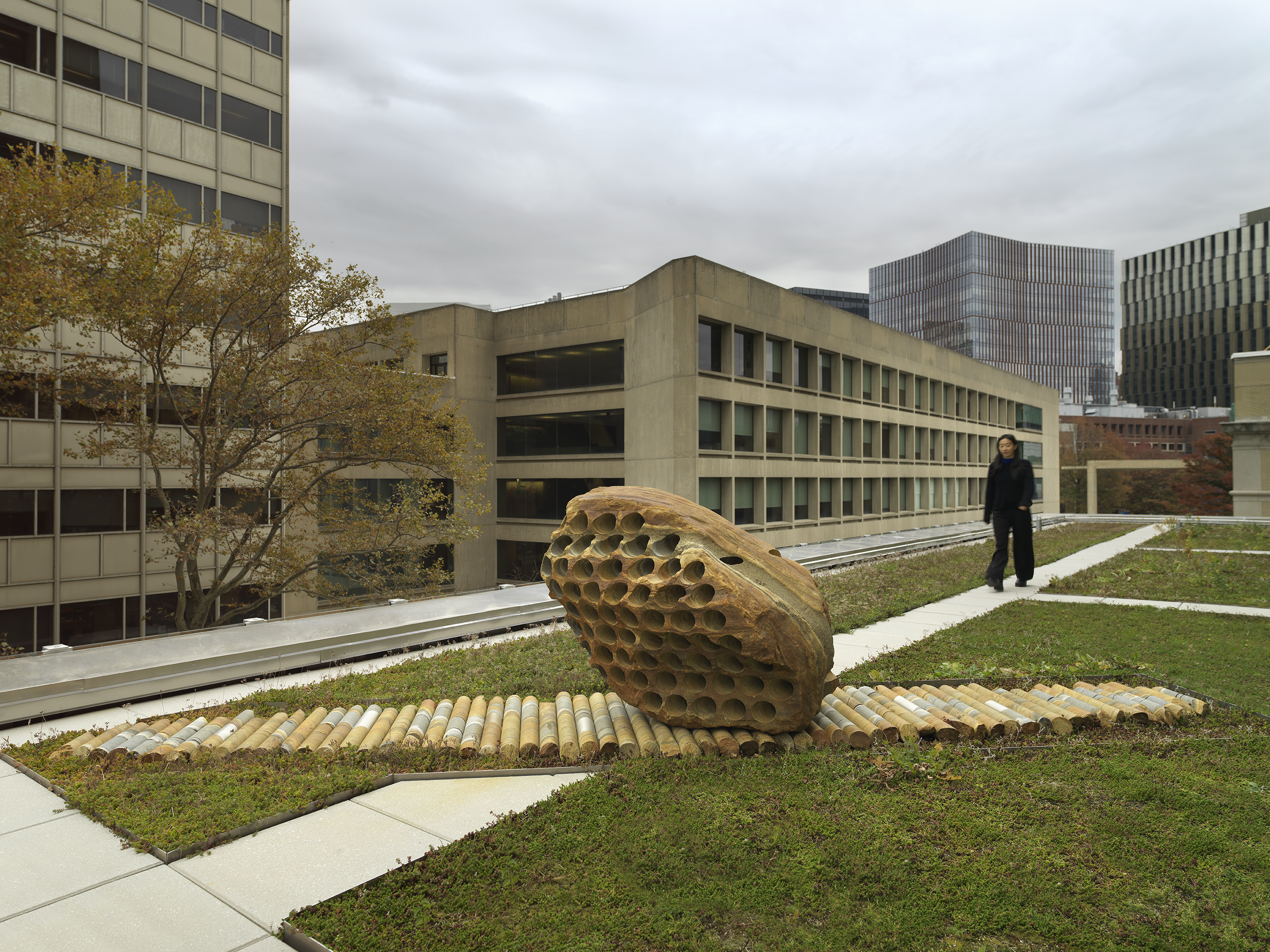 A large rock sculpture rests on a long strip of stone cylinders in a greenspace. The rock has a series of holes removed from its core, with the cylinders that were removed making up the strip it rests on. A pathway and a woman dressed in all black walking toward the sculpture reside in the background. There are building tops surrounding the open space.