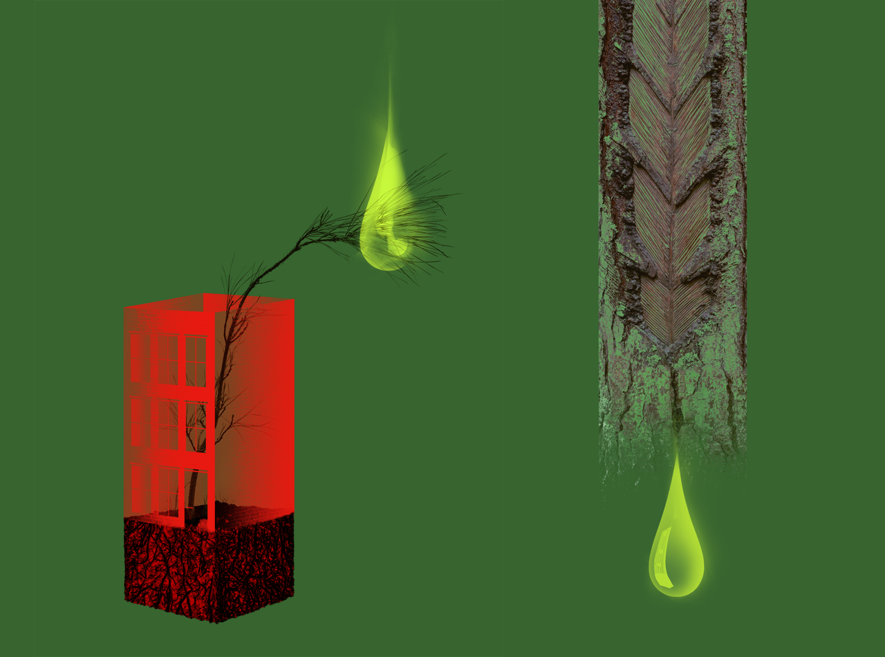 Digital rendering of tree bark crying a neon green tear drop on the right side overlayed on a dark green background. A bright red rectangular cube encasing a tree crying a neon green tear with the root system below.