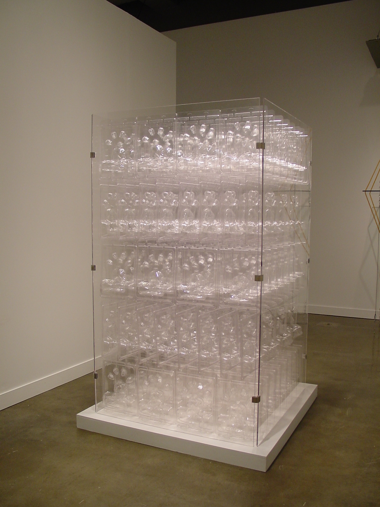 Plastic forms fill tall plexiglass box on a white platform in gallery space