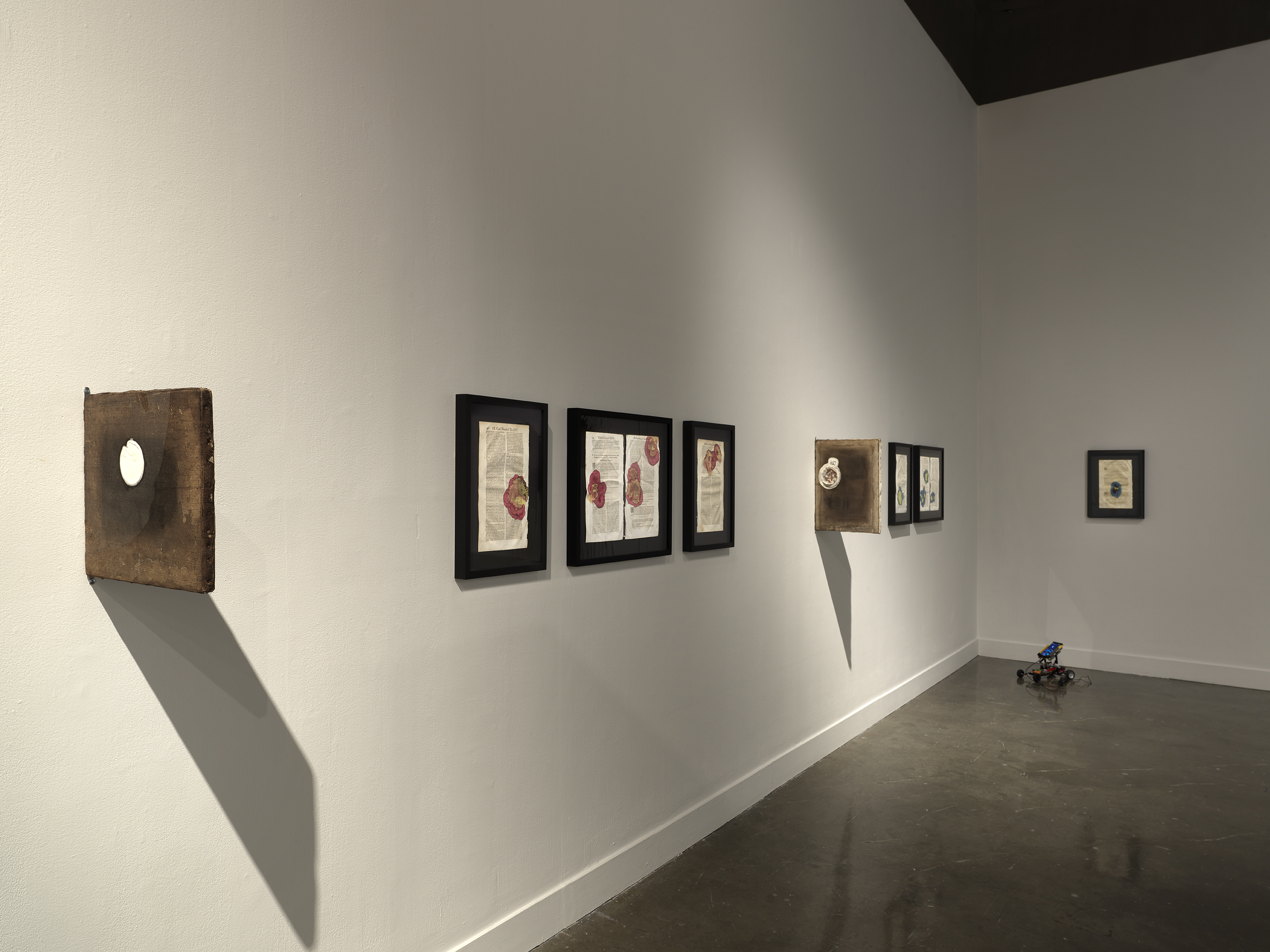 A series of black framed pages of text with colorful botanical ink blots hang in a row on white walls in a dimly lit gallery. A small lego robot sits on the floor in the corner of the space.