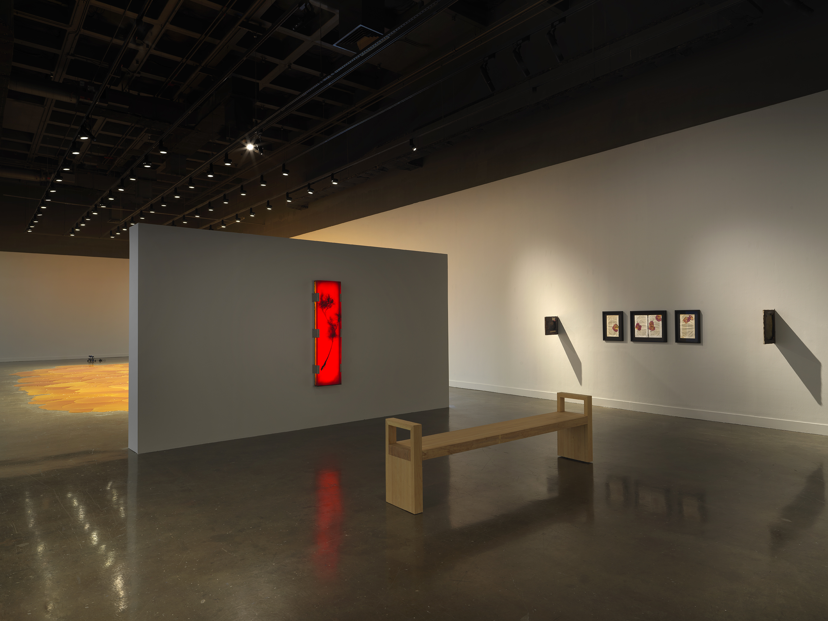 A wooden bench sits in the center of a white-walled gallery. Small black framed artworks line the wall on the right side of the frame, while a large rectangular, illuminated red-orange artwork hangs on the white wall behind the bench. Behind that wall, a vibrant orange pool of melted pine rosin that spreads across the floor.