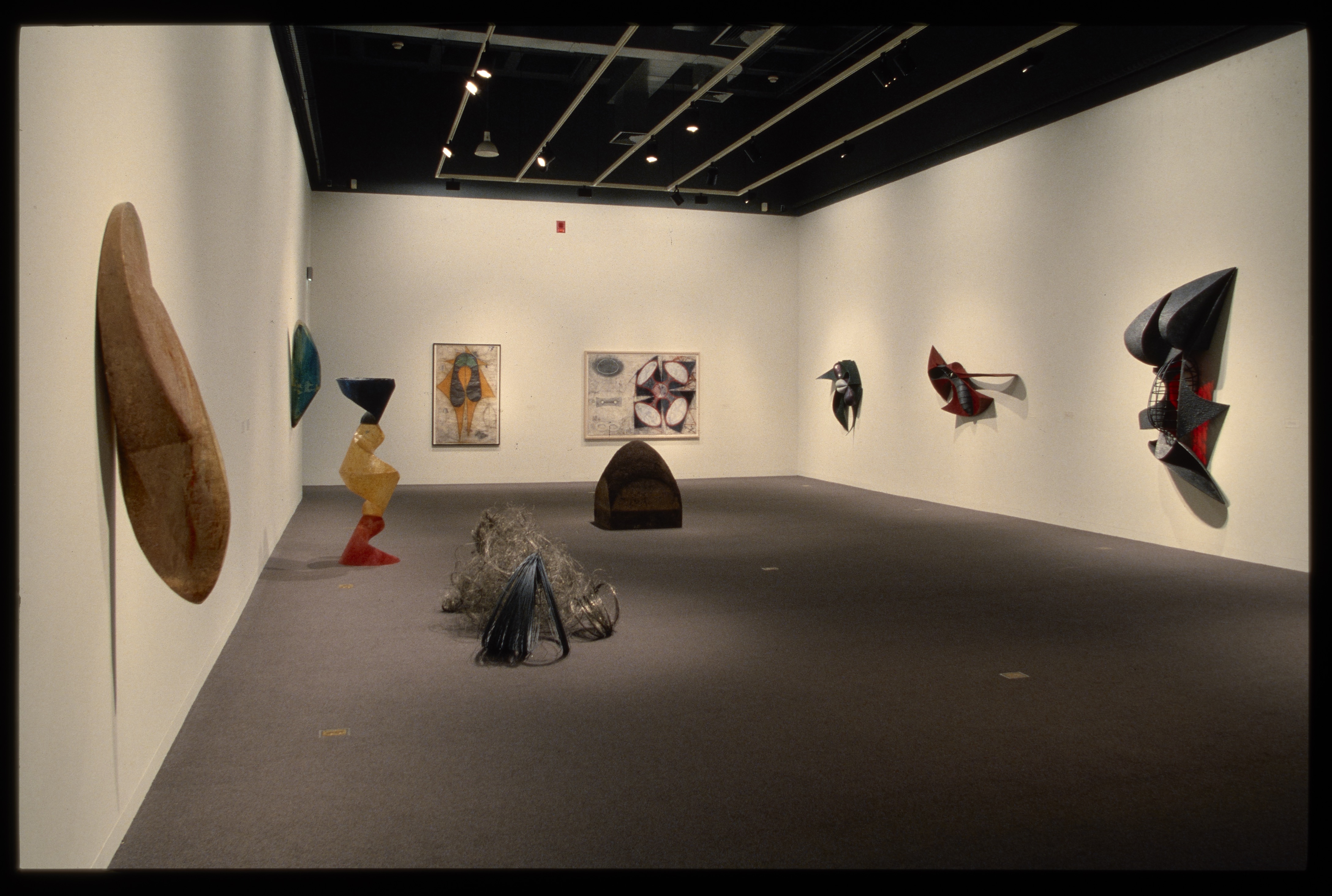 Organically shaped sculptures hang from gallery walls and rest on the floor. Each work has its own form, shape, and color.