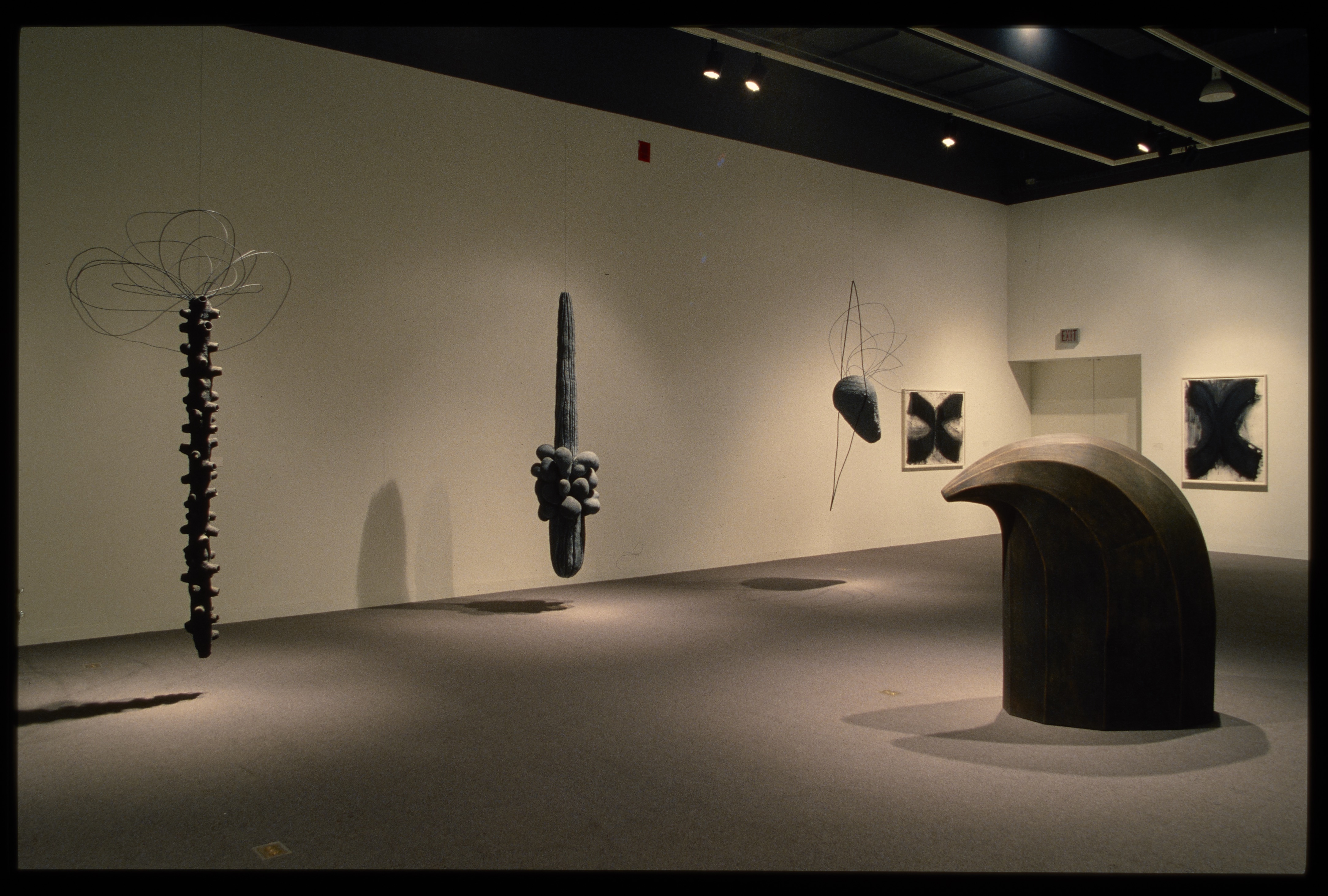 Organically shaped sculptures hang from the ceiling and walls. Each sculpture is spotlit, creating shadows on the floor.