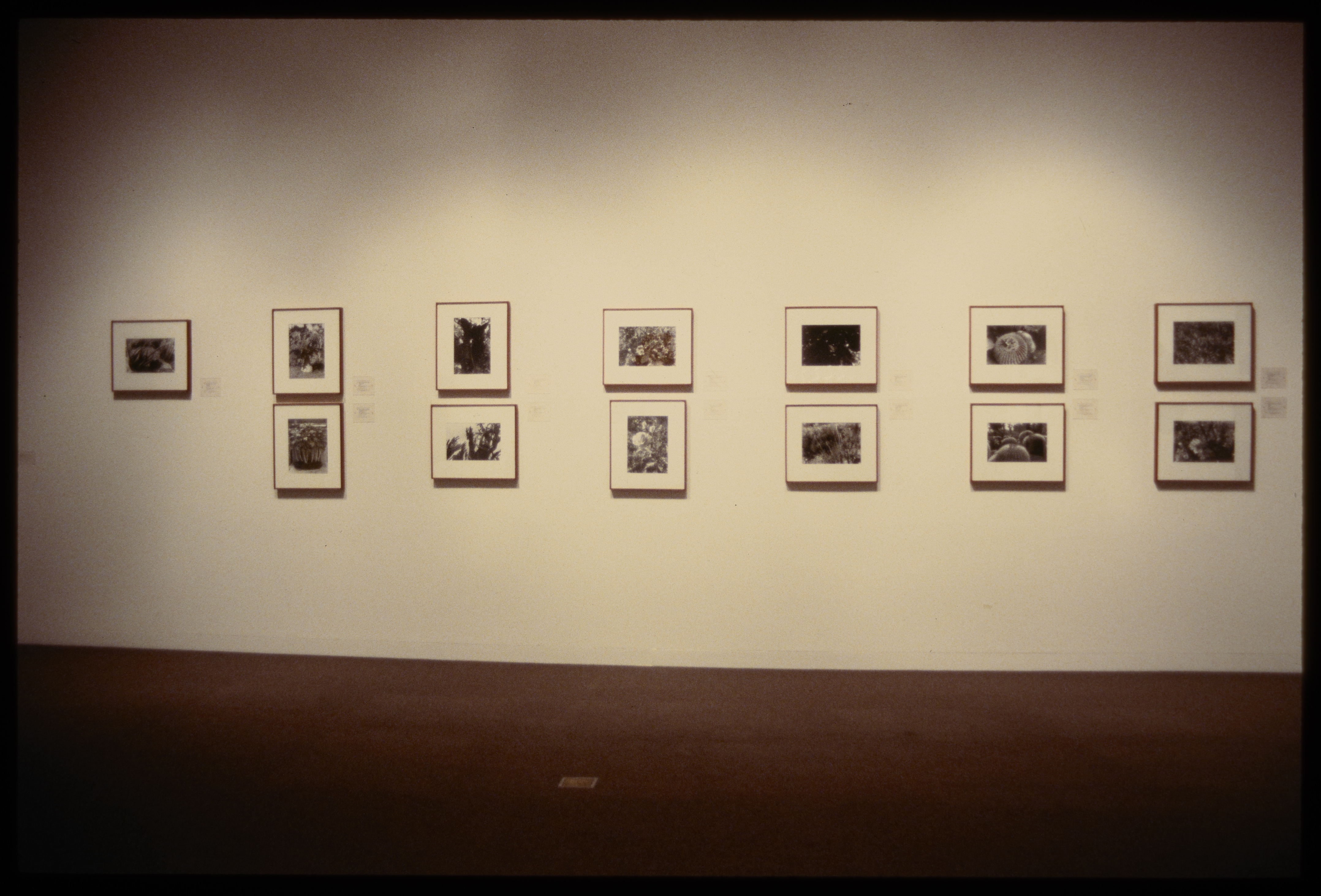 Thirteen framed black and white photos hang in two rows on the wall.