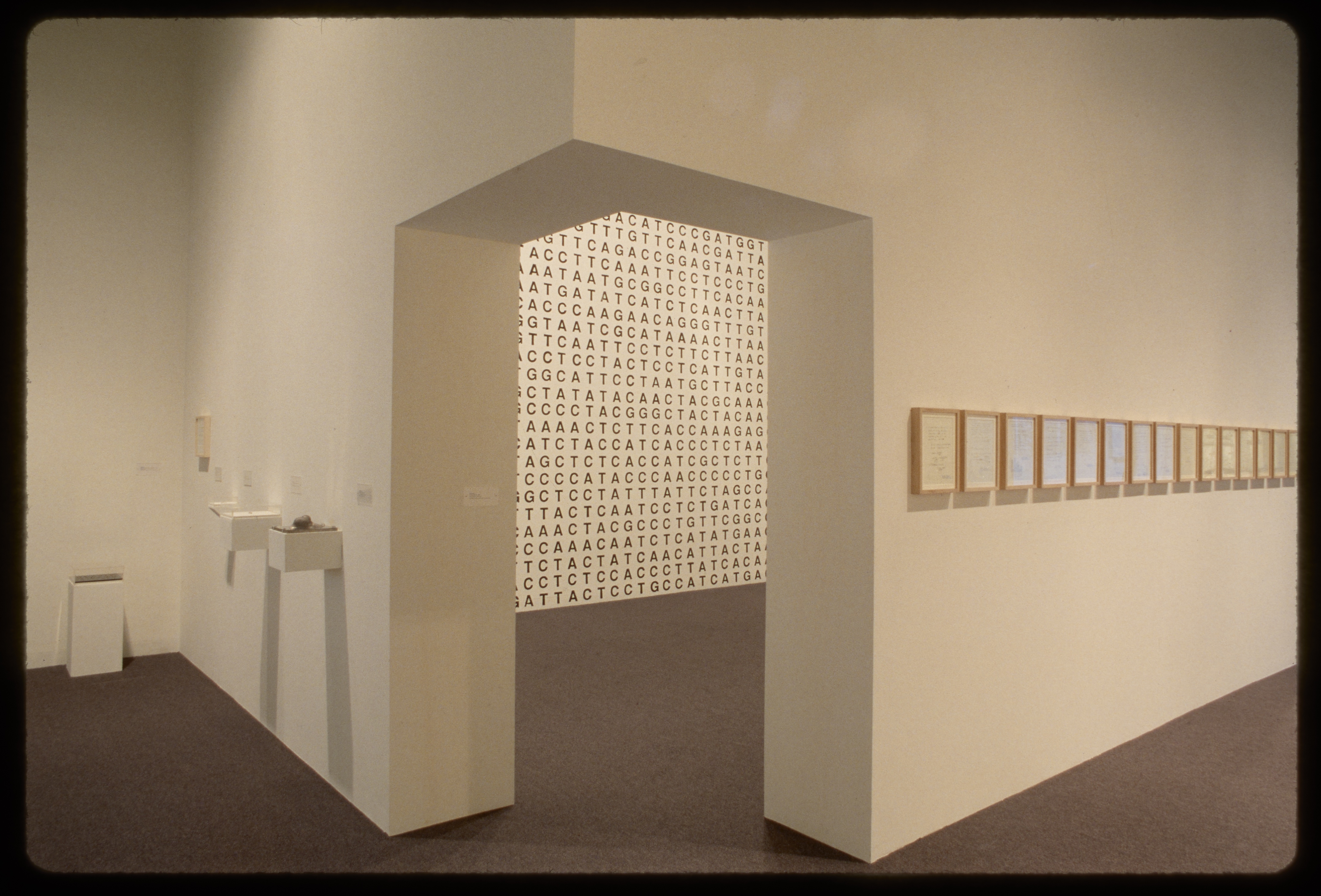 Wall covered in letters seen through doorway of gallery walls with framed writing on right wall and glass encased objects on left.