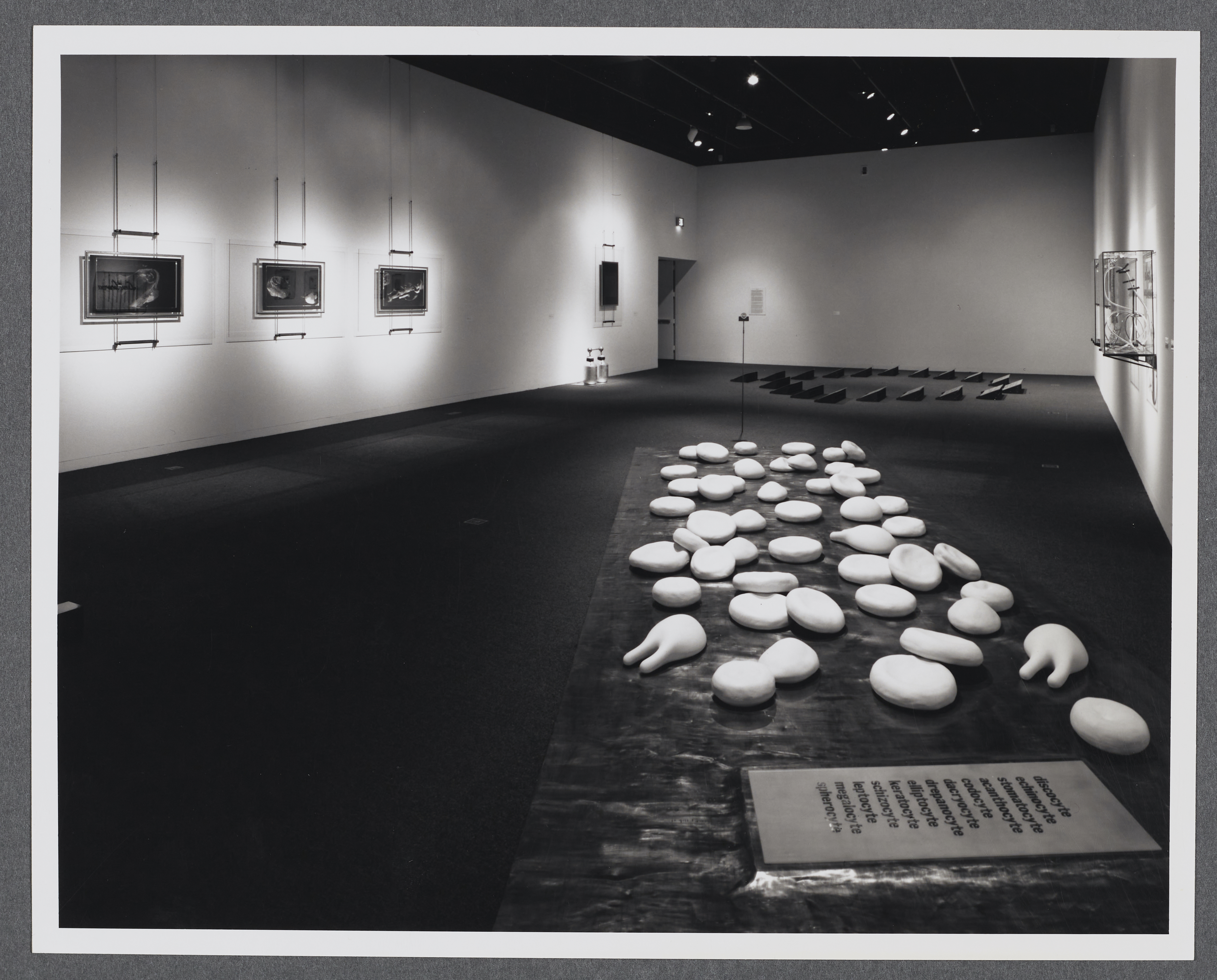 Three dimensional installations are configured on the gallery floor. Each is made of multiple pieces.