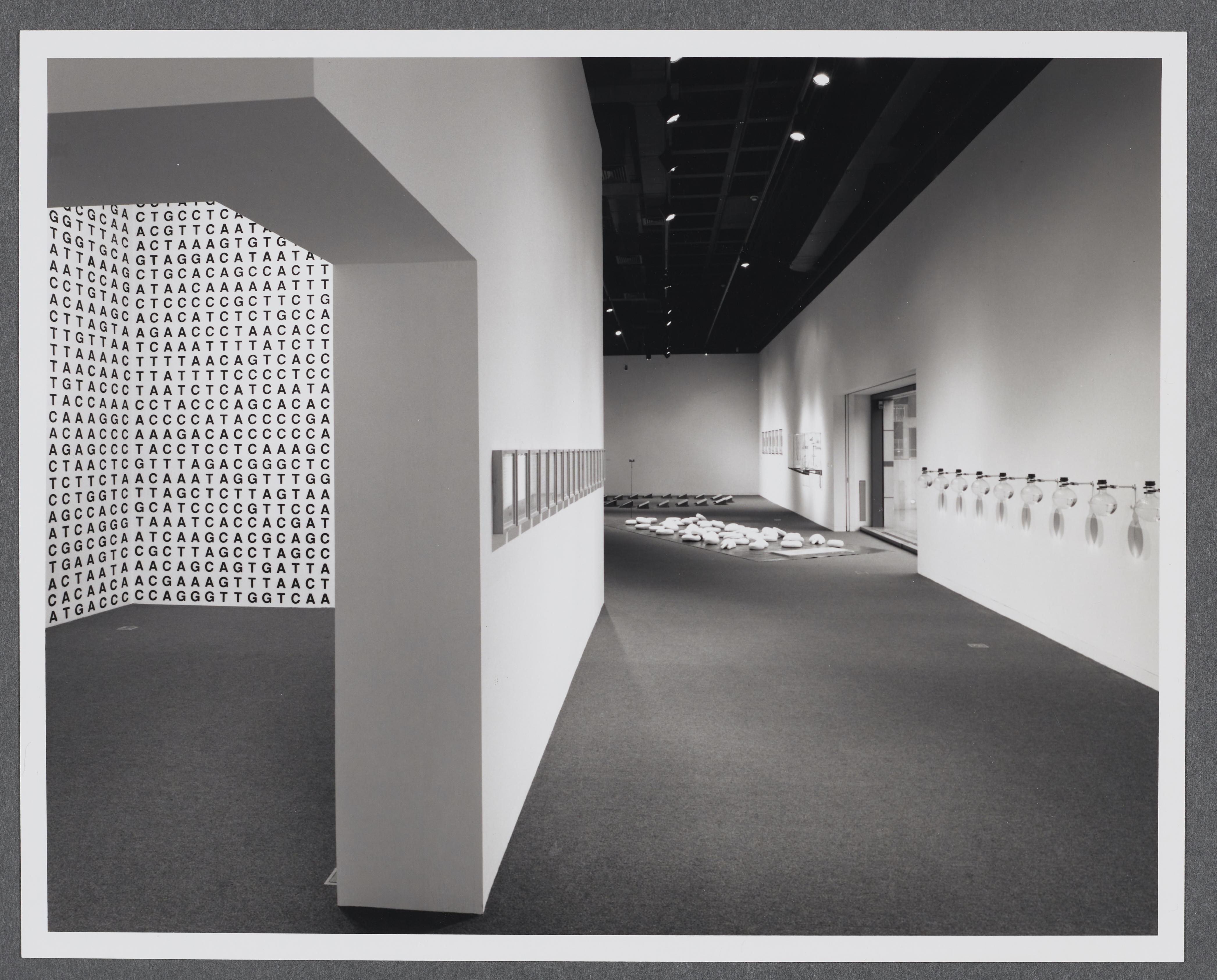 The entrance to a separate room in the gallery opens up on the left and a view of the rest of the gallery is on the right.